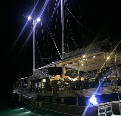 Mavi tur Tekne Kiralama Şirketi