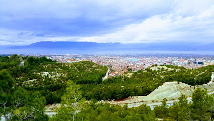 Mehmet Akif Ersoy Kent Ormanı