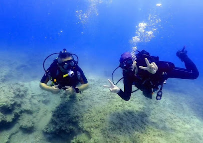Mersin Dalış Merkezi Spor Kulübü