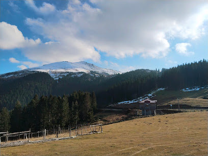 Mesudiye, Köşe Obası