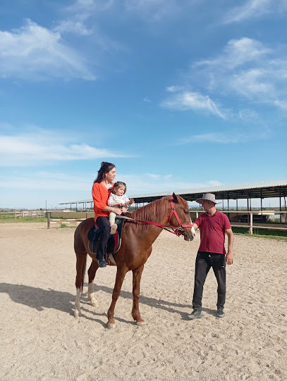 Midyat At Çiftliği