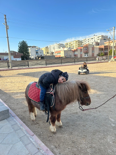 Midyat Bahçe at çiftliği