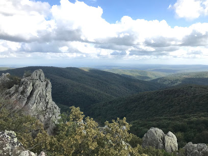 Monopetra kayalıkları