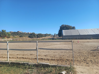 Moris binicilik kulübü