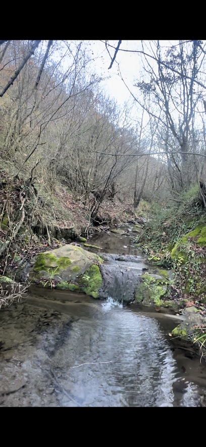 Naip Şelalesi Ekoturizm Alanı