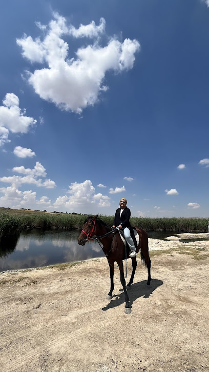 Nallıhan At Çiftliği Binicilik Kulübü