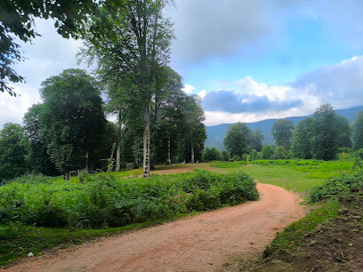 Necet SERDAR Mesire Alanı