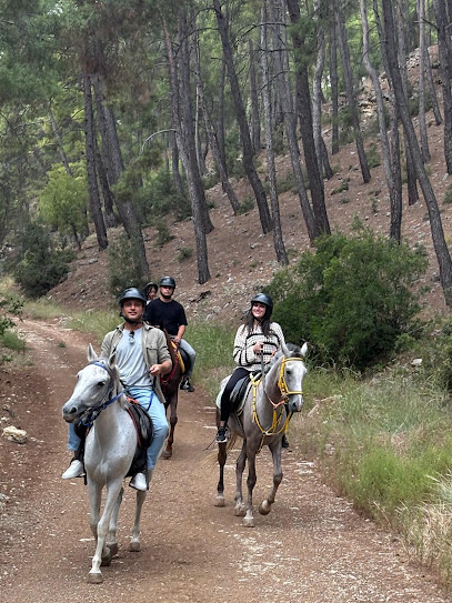 OASİS RANCH & AT ÇİFTLİĞİ