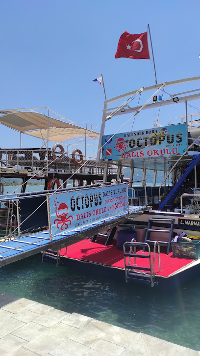Octopus Dalış Okulu