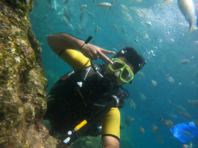 Octopus Diving Center Kemer