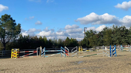 Ömerli Binicilik Eğitim Merkezi