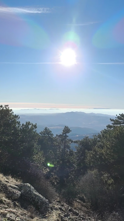 Orman gözetleme kulesi