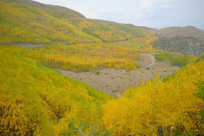 ORTASEKİ KENT ORMANI GERÇEK GİRİŞİ