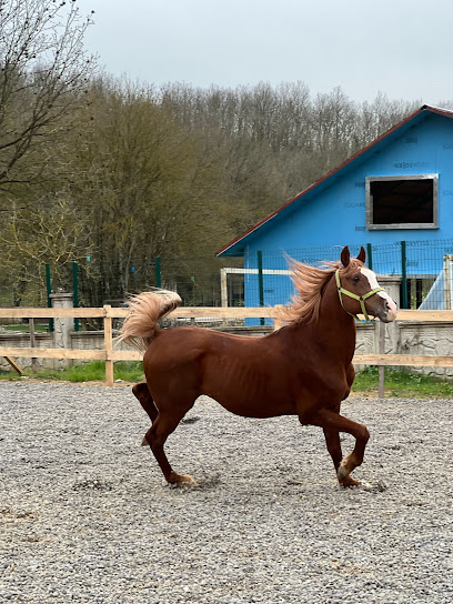 Ovacık atlı binicilik