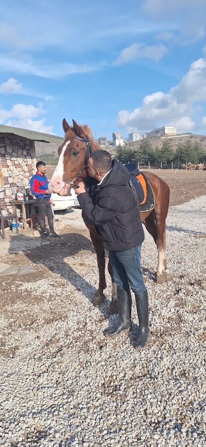 OVACIK BİNİCİLİK (OVACIK-KEÇİÖREN AT ÇİFTLİĞİ)