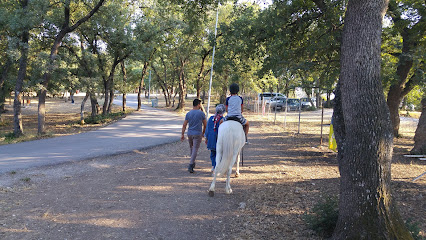 Özhanin At Çiftliği