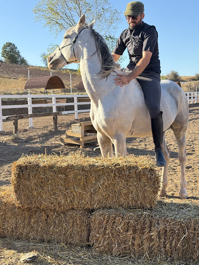 Öztekin At Çiftliği Balıkesir