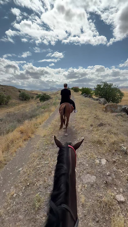 Padox academy at çiftliği