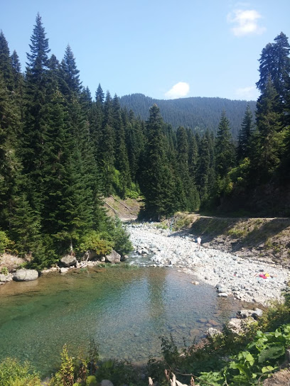 Papart Düzü(Papart Yaylası)