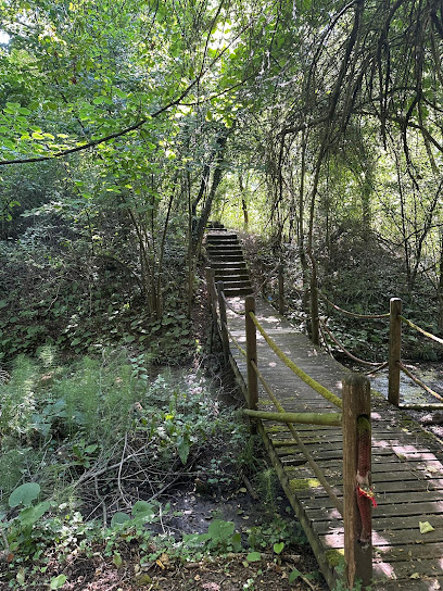 Paşadağı Yürüyüş Parkuru