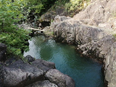 Paşasuyu Doğal Yaşam Vadisi