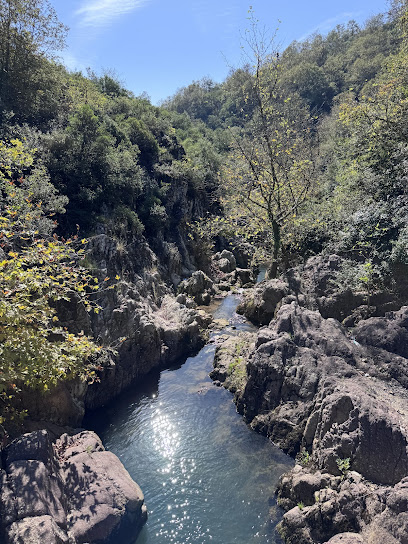 Paşasuyu Yürüyüş Parkuru ve Mesire Alanı