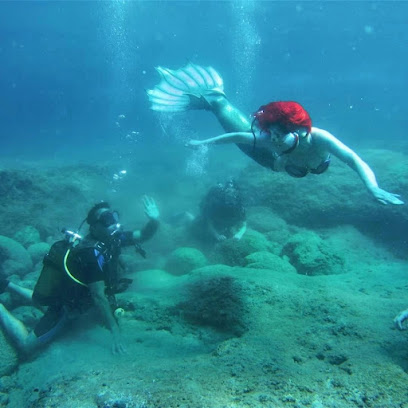 Pearl Diving Center | Since 1999