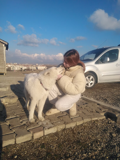 Peştanlı At Çiftliği