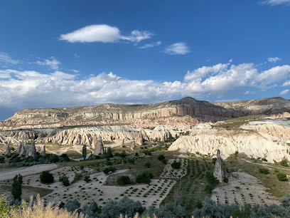 Pigeon Valley Trailhead East