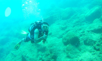 Professional Diving Centre