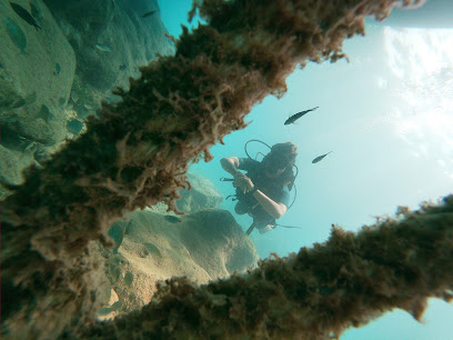 Pusula dalgıçlık sualtı hizmetleri