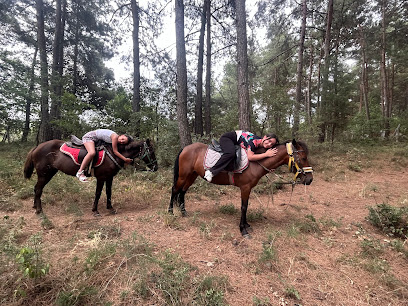 Rahvan At Çiftliği