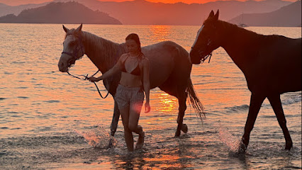 ride4culture Fethiye beach riding