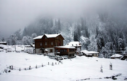 Rize Tours » Rize Günübirlik Turlar & Yayla Turları