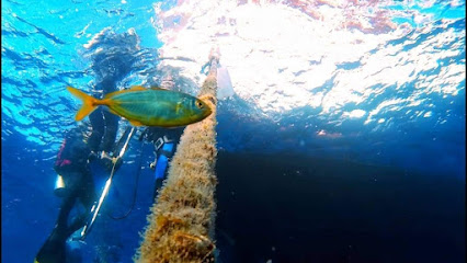 Rota Dalış Merkezi