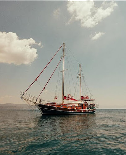 Royal gypsy Öncu yatcılık