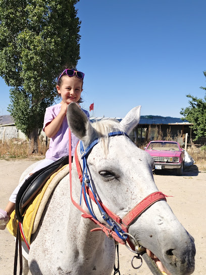 Royal Horse Ranch Cappadocia