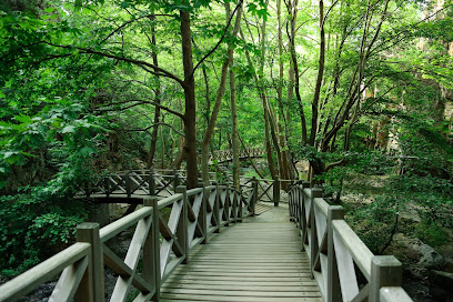 Sadağı Kanyonu Tabiat Parkı