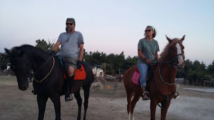 Safkan Atlı Spor Kulübü