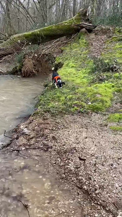 Şahin Deresi Hiking Area