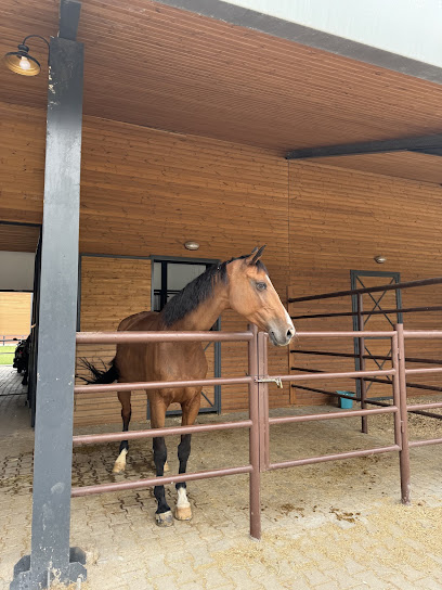 Şahinbey binicilik ve geleneksel sporlar merkezi