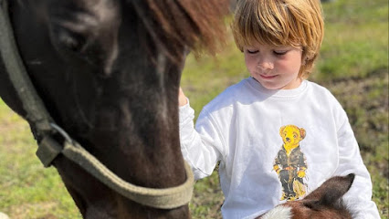 Sakarya Atlı Spor Kulübü Mutlu Atlar Binicilik Akademisi