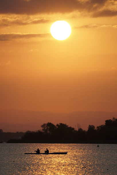 Sakarya Kürek Kano Spor Kulübü