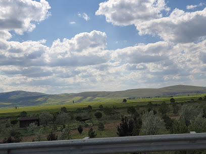 Sandıklı Kent Ormanı