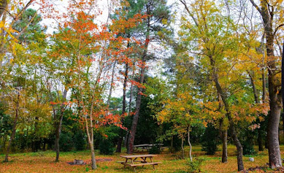 Sarıgazel Tabiat Parkı