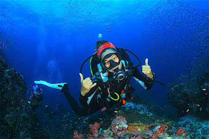 Scuba Diving | Diving Tour | Dalış Turu Antalya