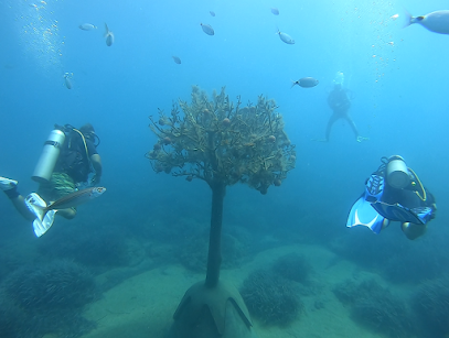 Scuba Side Diving Center