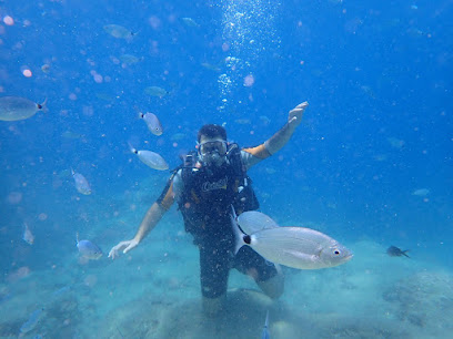 Seal Dive Center Alanya