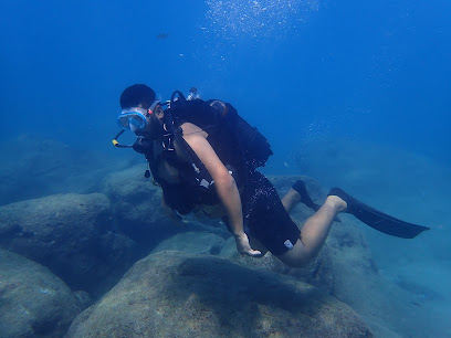 Seal Dive Center Alanya Vıp