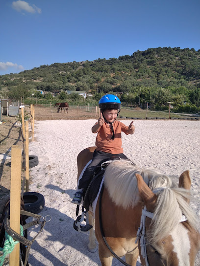 Şenoğlu Atçılık ve Binicilik cafe